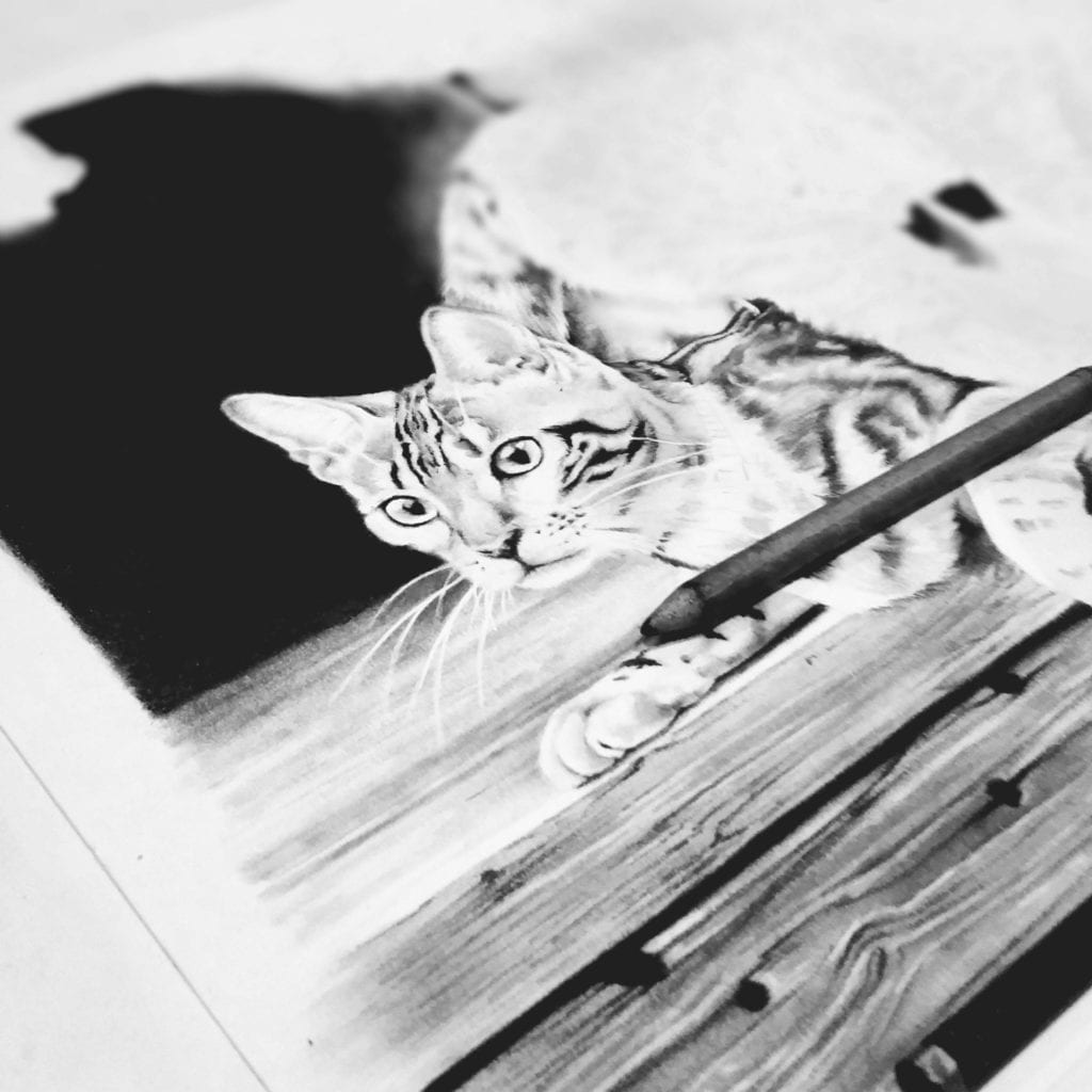 Partly finished portrait of cat lying on porch
